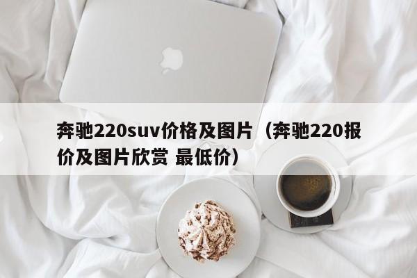奔驰220suv价格及图片（奔驰220报价及图片欣赏 最低价）