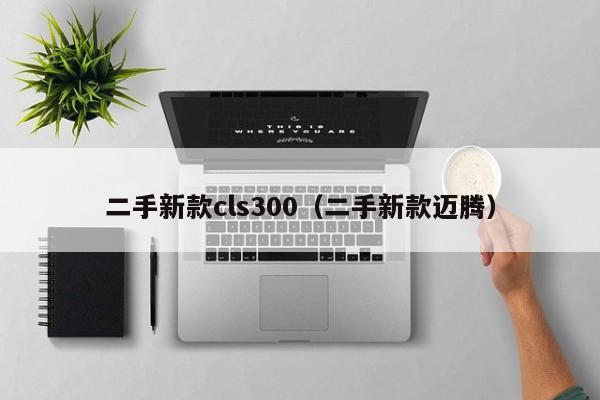 二手新款cls300（二手新款迈腾）