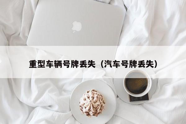 重型车辆号牌丢失（汽车号牌丢失）