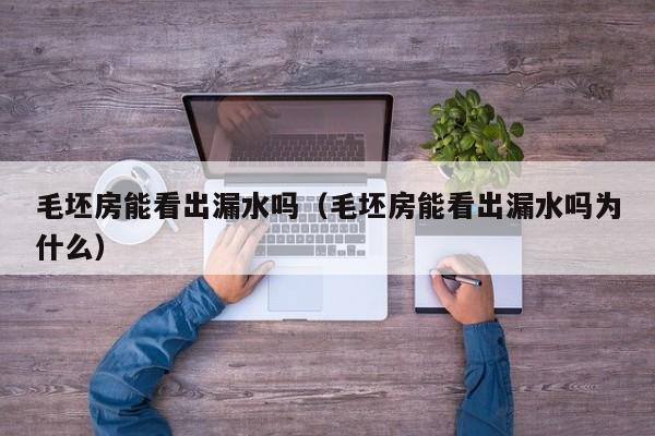 毛坯房能看出漏水吗（毛坯房能看出漏水吗为什么）
