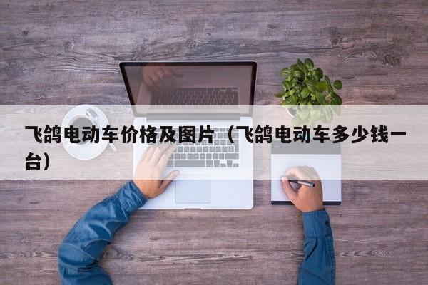 飞鸽电动车价格及图片（飞鸽电动车多少钱一台）