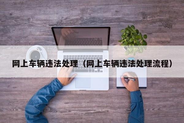 网上车辆违法处理（网上车辆违法处理流程）
