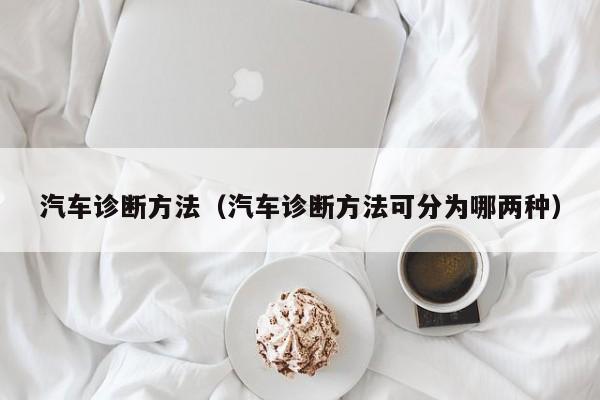 汽车诊断方法（汽车诊断方法可分为哪两种）