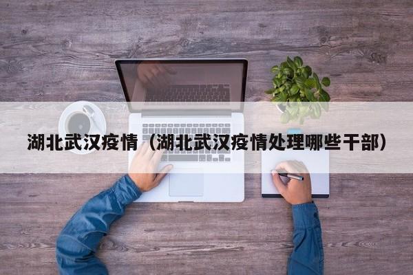 湖北武汉疫情（湖北武汉疫情处理哪些干部）