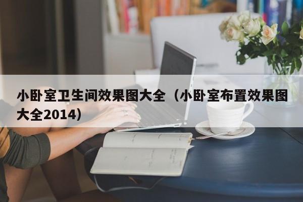 小卧室卫生间效果图大全（小卧室布置效果图大全2014）