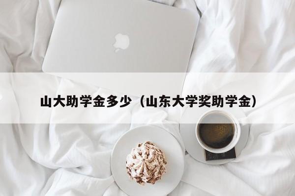 山大助学金多少（山东大学奖助学金）
