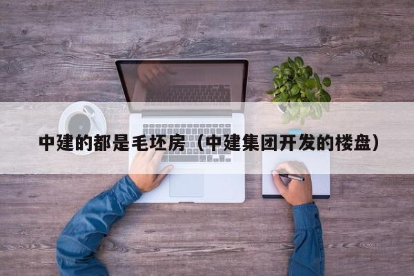 中建的都是毛坯房（中建集团开发的楼盘）