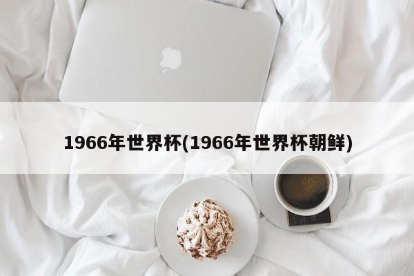 1966年世界杯(1966年世界杯朝鲜)