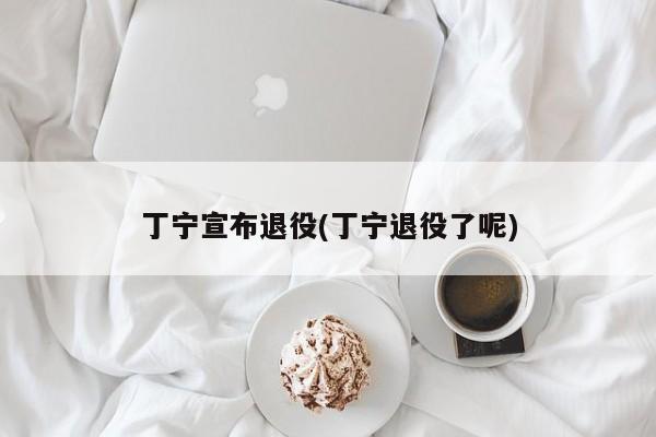 丁宁宣布退役(丁宁退役了呢)