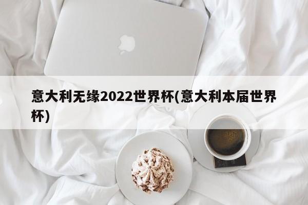意大利无缘2022世界杯(意大利本届世界杯)
