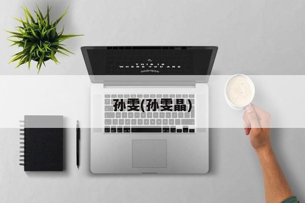 孙雯(孙雯晶)