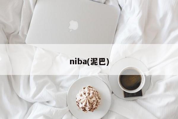 niba(泥巴)