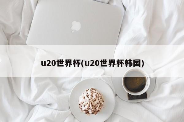 u20世界杯(u20世界杯韩国)