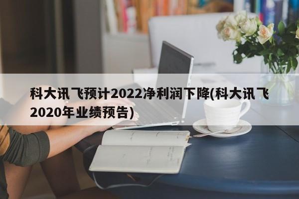 科大讯飞预计2022净利润下降(科大讯飞2020年业绩预告)