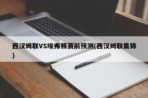 西汉姆联VS埃弗顿赛前预测(西汉姆联集锦)