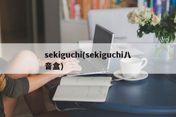 sekiguchi(sekiguchi八音盒)