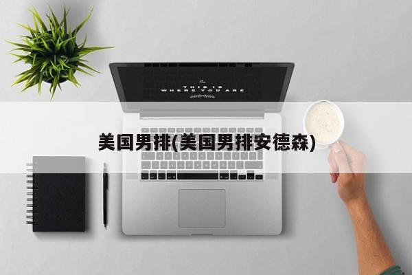 美国男排(美国男排安德森)