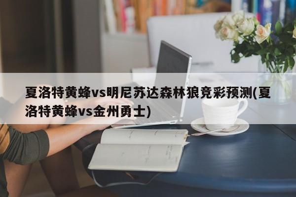 夏洛特黄蜂vs明尼苏达森林狼竞彩预测(夏洛特黄蜂vs金州勇士)